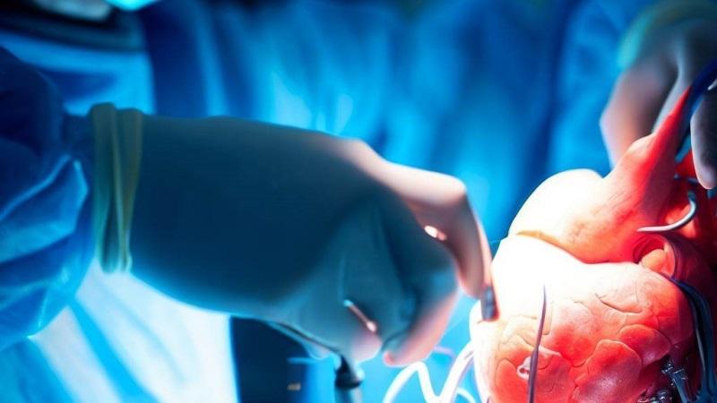 1739352594.117558 592891 image بهترین دکتر عمل سوزاندن رگ قلب در اهواز + لیست 10 تایی